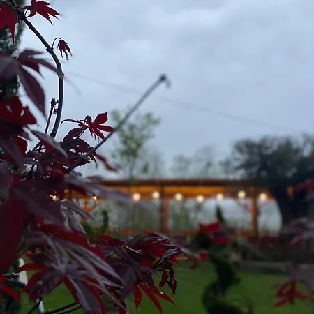 Hotel Natyra E Qete Hideaway